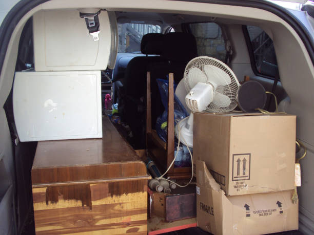 Best Office Cleanout  in Eclectic, AL